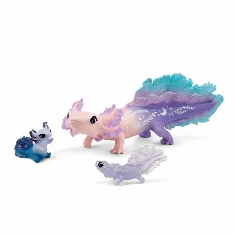 Coffret Découverte Axolotl