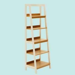 Modrn scandinave Finna Ladder Bibliothèque