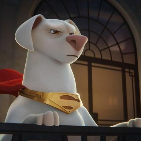 dc league of super pets dans les meilleurs films pour enfants 2022